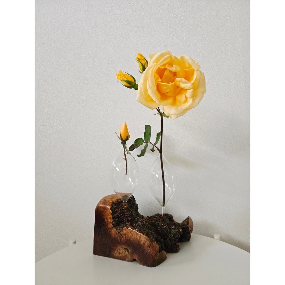 1950's - Spellbinders, Novato, CA  - Glass & Burl Wood Vase